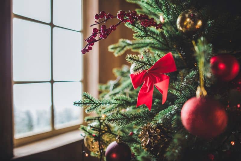 6 True Stories About Christmas