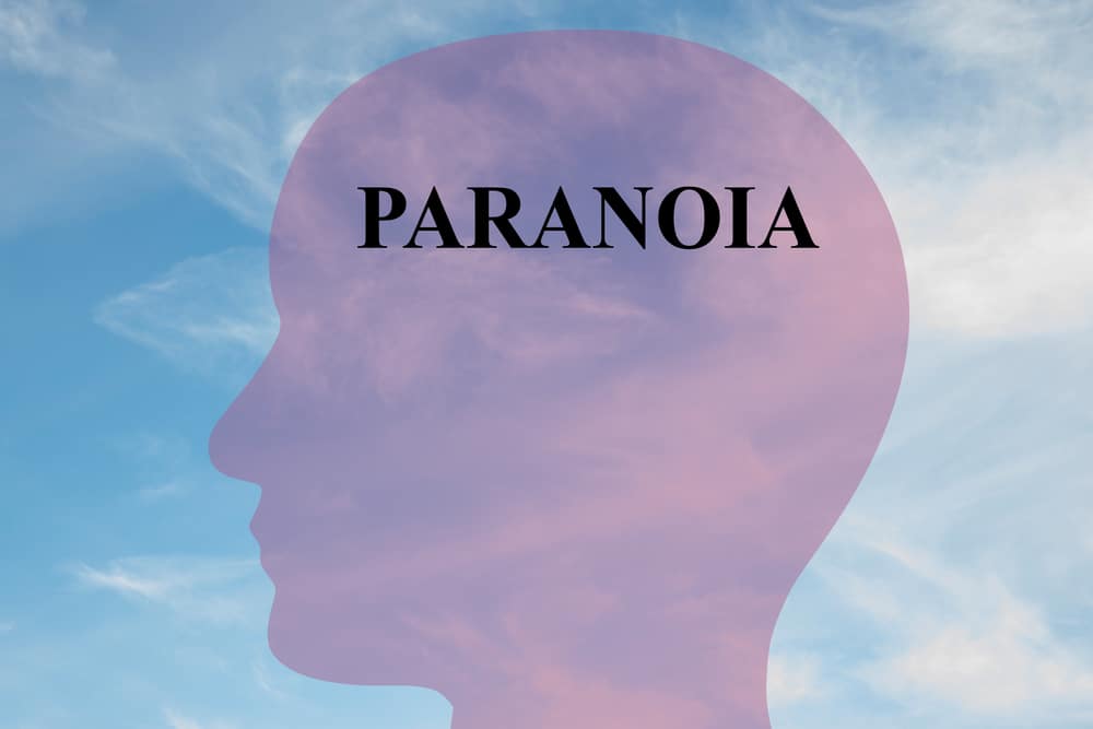 Render illustration of Paranoia title on head silhouette, with cloudy sky as a background.